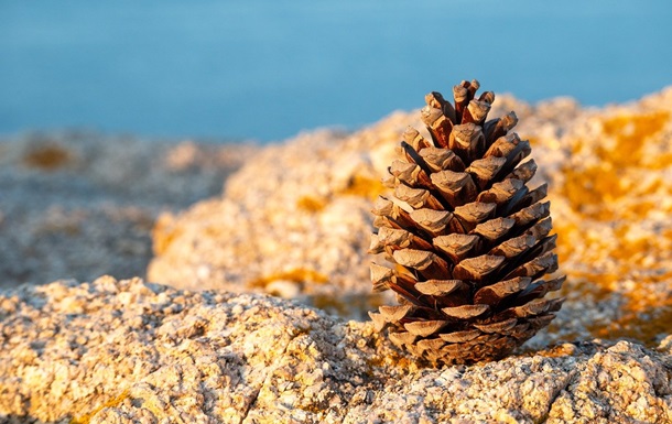 Гороскоп для всех знаков зодиака на 13 января 2026 года