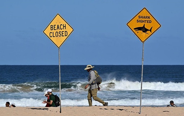 В Австралії 12-річний хлопчик помер після нападу акули