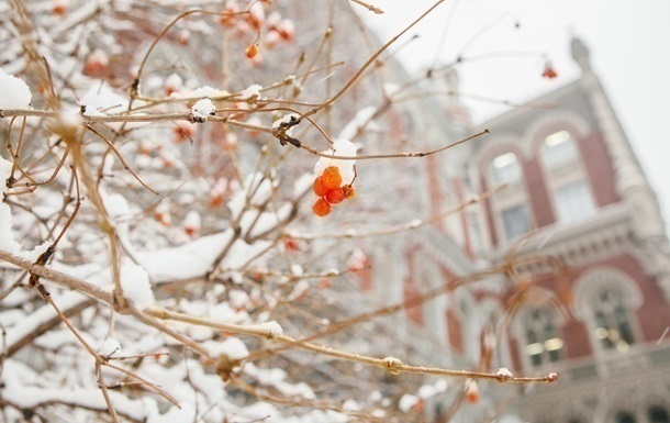НБУ  спалив  понад $1 млрд для підтримки гривні