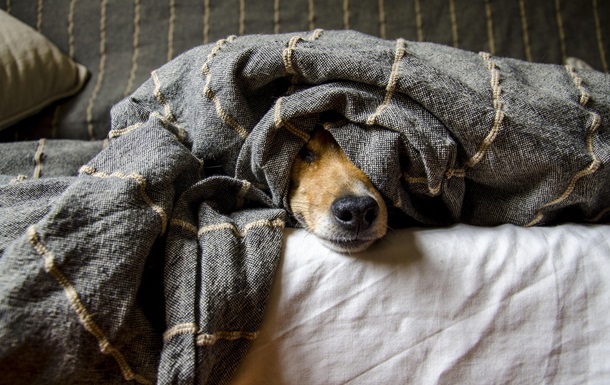 Гороскоп для всех знаков зодиака на 28 января 2026 года