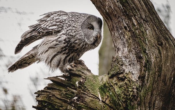Гороскоп для всіх знаків зодіаку на 29 січня 2026 року