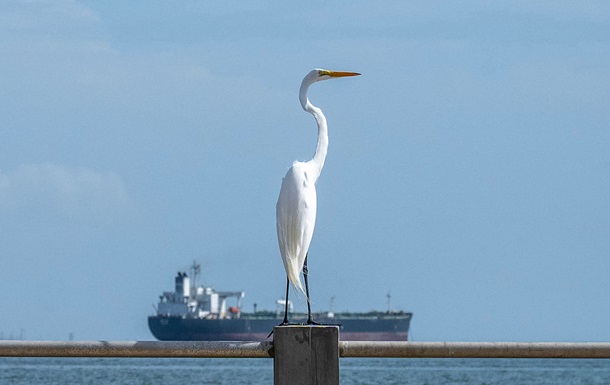 Індія закупила два мільйони барелів венесуельської нафти - ЗМІ