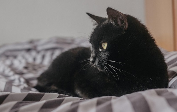 Гороскоп для всіх знаків зодіаку на 13 лютого 2025 року