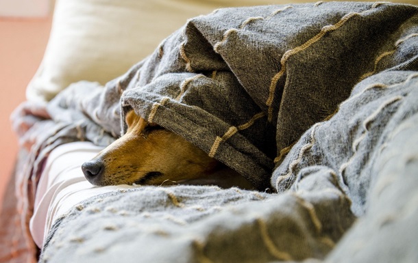 Гороскоп для всіх знаків зодіаку на 18 лютого 2026 року