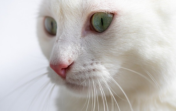 Гороскоп для всіх знаків зодіаку на 19 лютого 2026 року