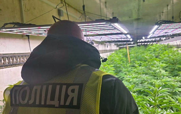 На Черкащині викрили промислову наркоплантацію з сонячними панелями