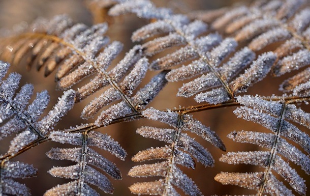 Гороскоп для всіх знаків зодіаку на 20 лютого 2026 року