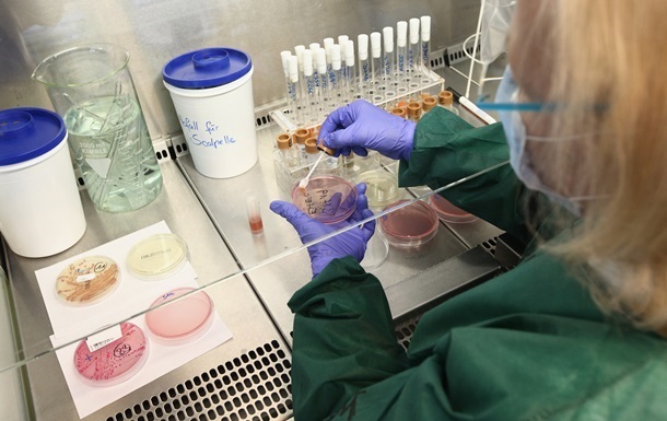 Учёные создали бактерии, способные  съедать  раковые опухоли