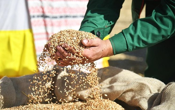 Білорусь продає крадене українське зерно, видаючи його за  своє  - ЦПД