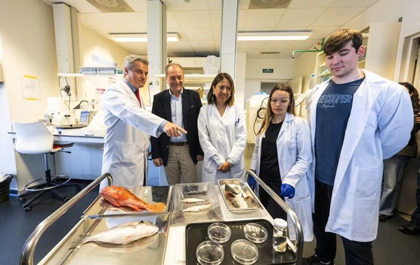 В Іспанії створили штучну рогівку з риб’ячої луски