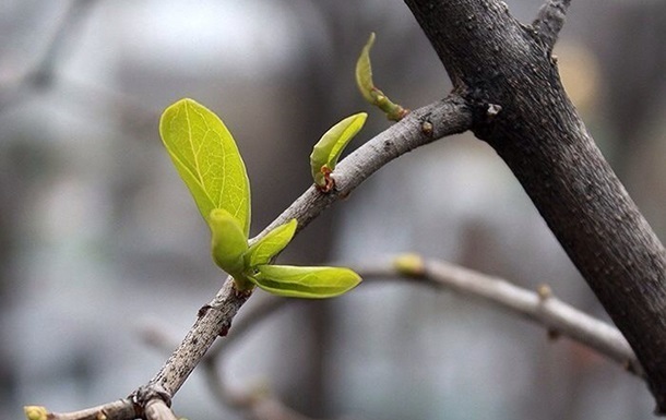 Стало відомо, якою буде погода у вихідні