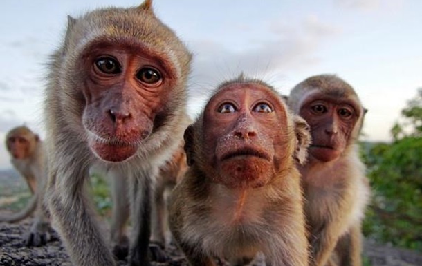 Прошлое в настоящем: меняются страны, лица, но остаются незалеченные проблемы...