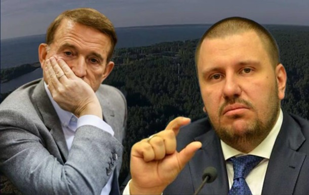 Cвязанные с Медведчуком и Клименко земли на Киевщине вернули государству