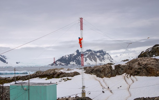 Пингвины, птицы и тюлень: украинские полярники победили в фотоконкурсе