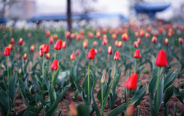 Украинцев предупредили о резком похолодании