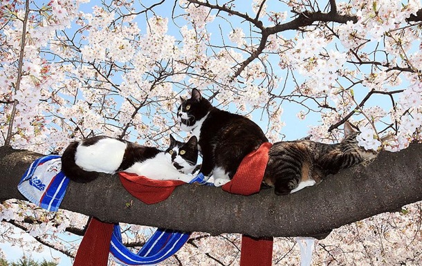 Синоптики сообщили, когда в Украину вернется тепло
