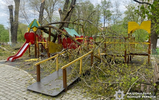 В Буковине деревья упали на детскую площадку: пострадали двое детей