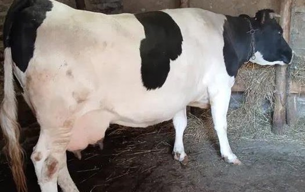 Хто буде «доїти» Енергоатом після Міндіча?