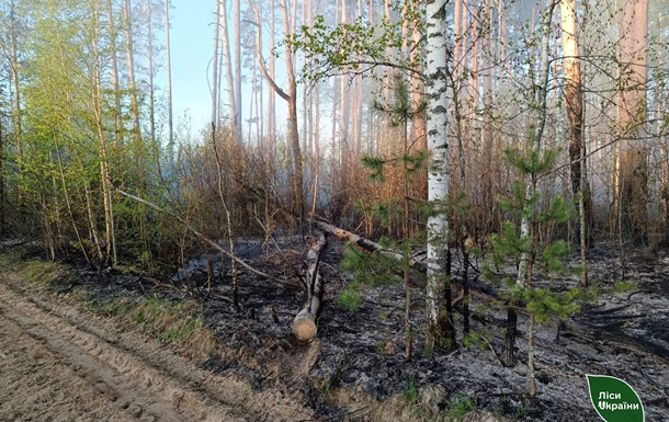 Пожежу площею 5800 га локалізували на Чернігівщині