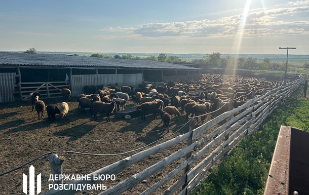 Викрито схему привласнення коштів в Держпродспоживслужбі