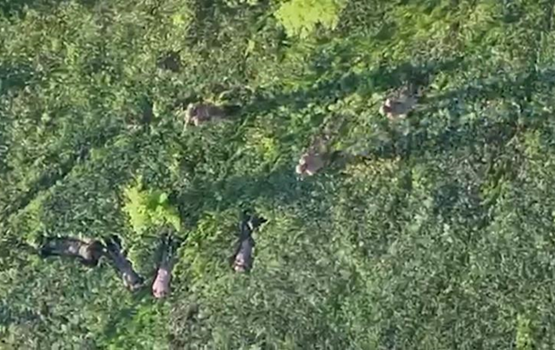 Прикордонники за допомогою БПЛА взяли у полон чотирьох військових РФ
