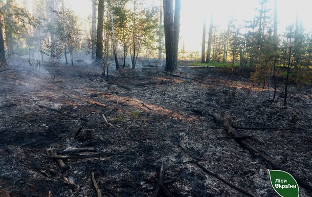На Житомирщині російські дрони спричинили п’ять лісових пожеж