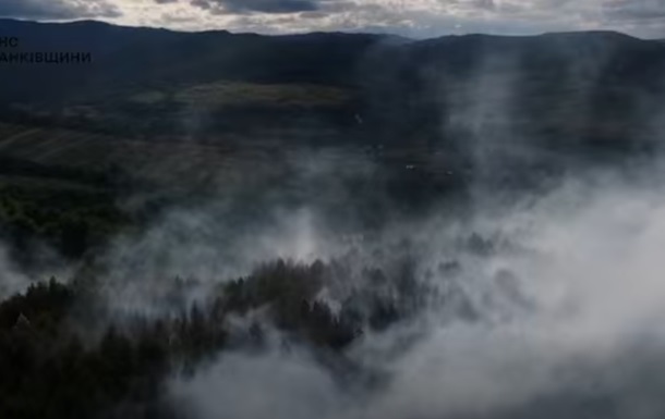 На Прикарпатті другий день не можуть загасити лісову пожежу