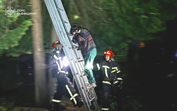 У Львові рятувальники зняли з дерева жінку та її кота
