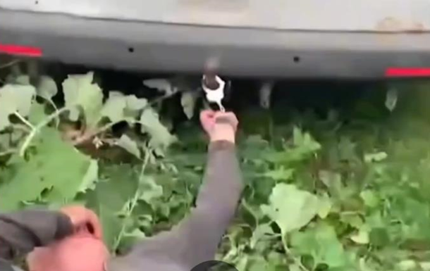 Прикували наручниками до авто: на Хмельниччині перевіряють інцидент з ТЦК 