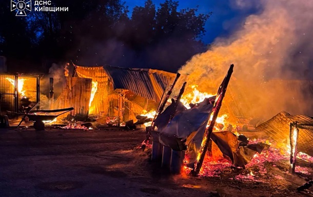 На Київщині горів притулок для тварин