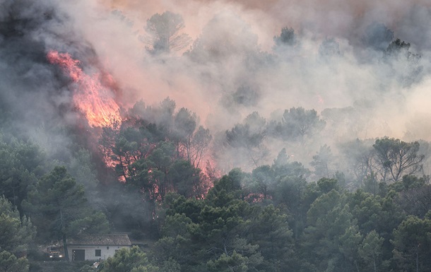 Європейські ліси втрачають здатність поглинати CO₂