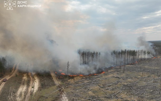 На Харківщині горять 150 га лісу