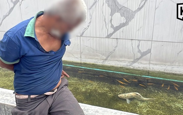 У Бангкоку чоловіка підозрюють у сексуальному насильстві над рибою 