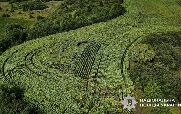 Понад тонна канабісу: підсумки операції  Джентльмени 