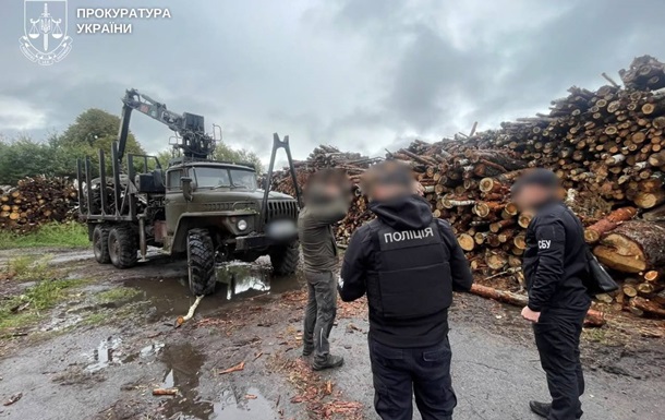 На Житомирщині незаконно вирубали понад 8800 дерев