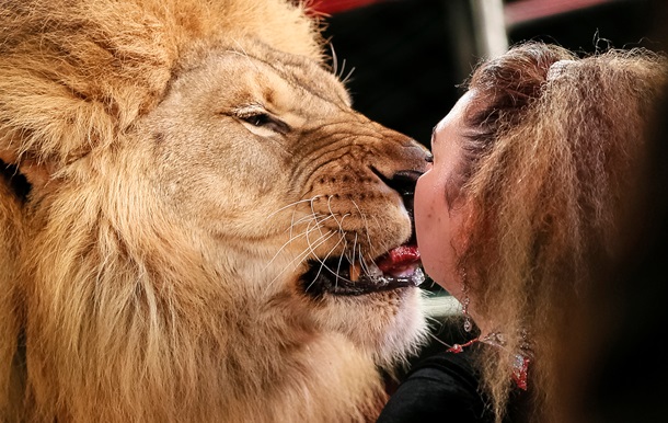 Поцелуй со львом. Национальный цирк Украины показал ретро-шоу
