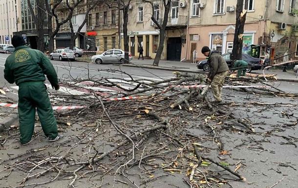 Ураган в Одесі повалив десяток дерев