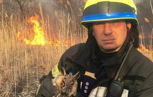 Під Києвом зі сухостоєм згоріло чимало тварин