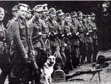 Немецкие историки: Отряды ОУН-УПА не воевали против Вермахта