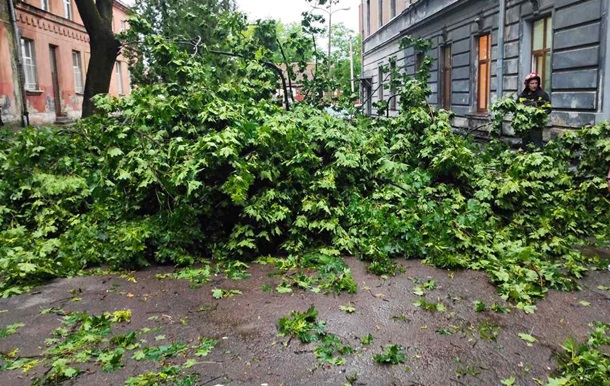 Під Києвом двоє людей загинули через падіння дерев