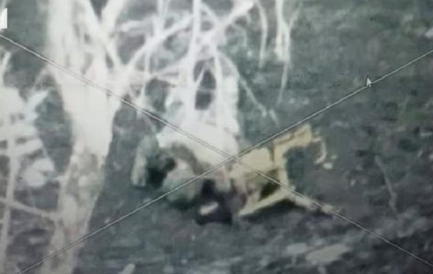 ССО показали уничтожение военных РФ возле Авдеевки