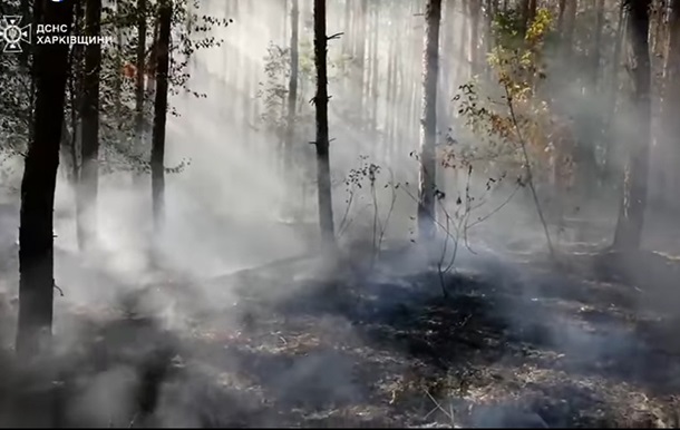 На Харківщині понад чотири доби горів ліс