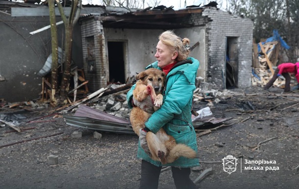 Россияне ударили по приюту для собак в Запорожье