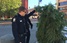 В США арестовали  человека-дерево 