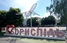 У Борисполі у День Незалежності помітили голу жінку. 18+