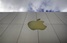 Стоимость акций Apple сравнялась с общей капитализацией Microsoft, HP и Dell