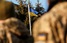 Генштаб оприлюднив рішення Сирського щодо ТЦК