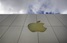 Американский суд запретил Apple судиться с Kodak