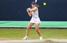 Снігур зазнала поразки у чвертьфіналі WTA 250 у Нідерландах