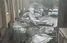 Негода у Львові: повалені дерева, пошкоджена адмінбудівля, зупинені трамваї